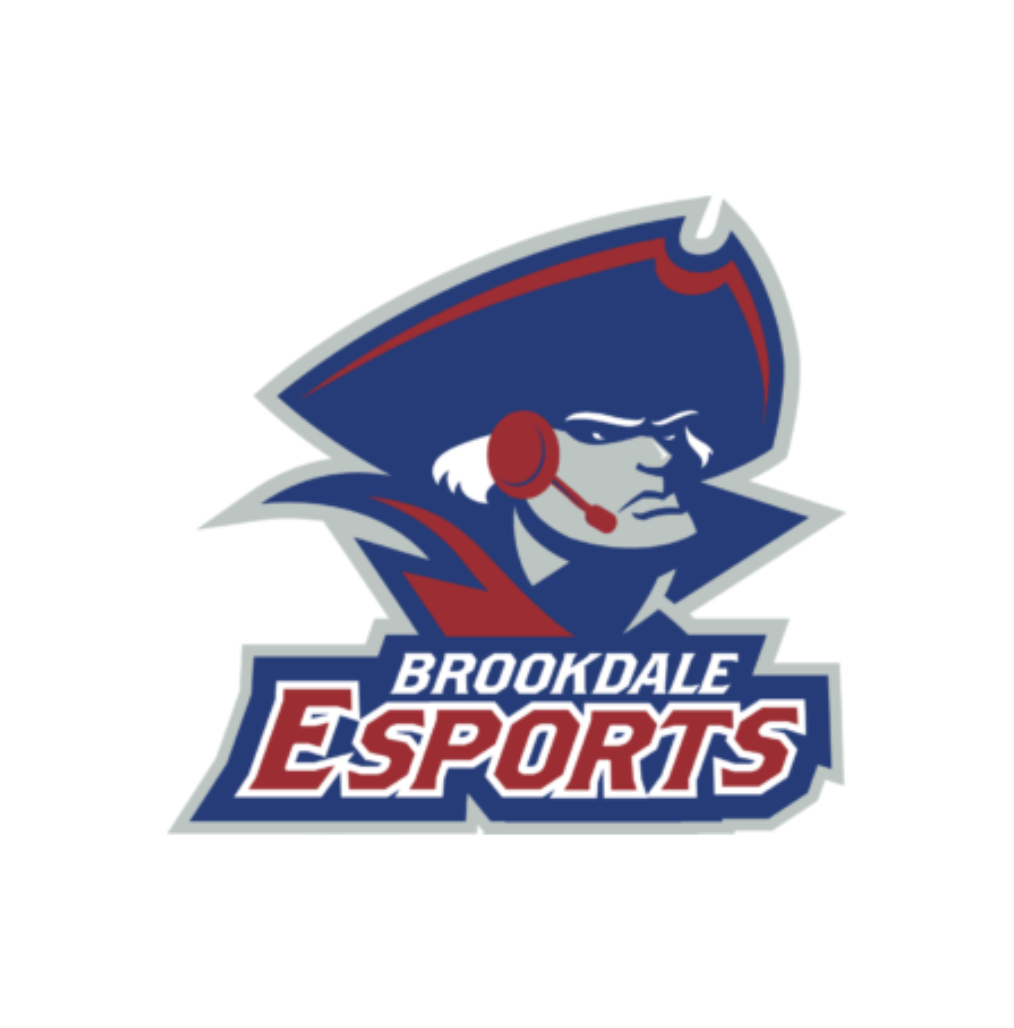 Grantee Partner Spotlight - Brookdale Esports